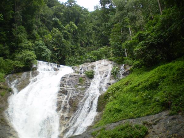 White waterfall rushing over rock, surrounded by lush green tropical forest