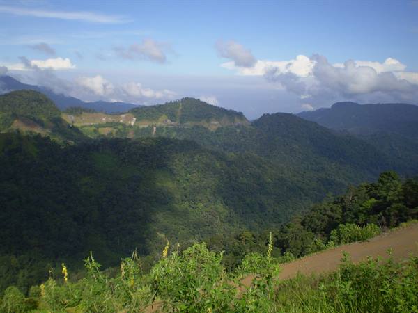 Green forested hills with a road winding in the valley, white clouds