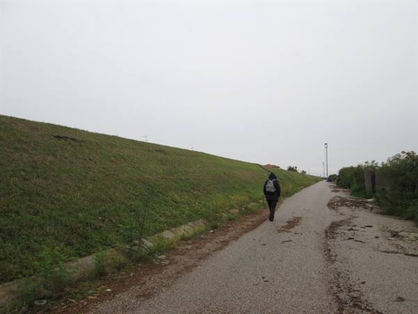 Banks of the Sacca di Goro