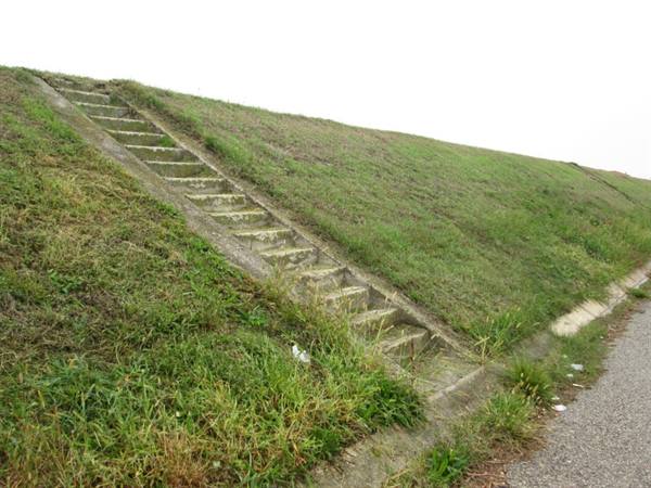 Banks of the Sacca di Goro