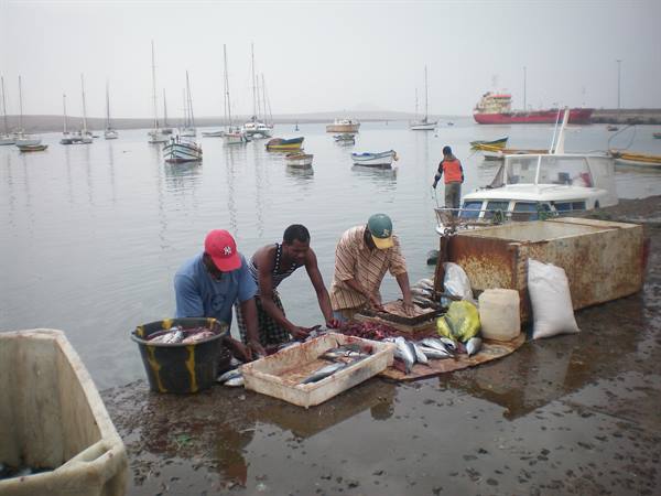 FISHERMEN IN PALMEIRA