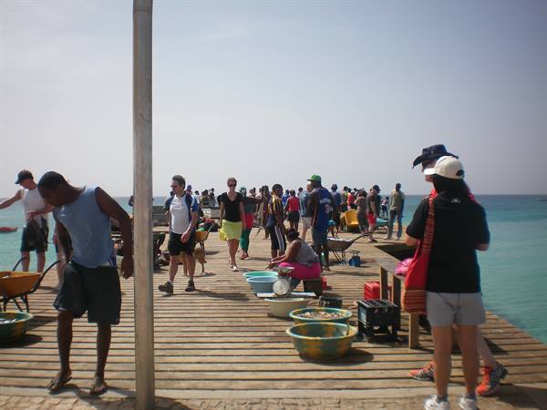 Crowded wooden pier with fish basins and tourists by the turquoise sea