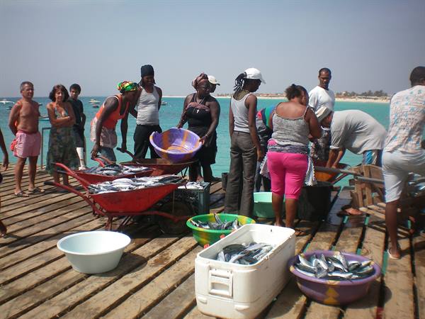 fish just arrived