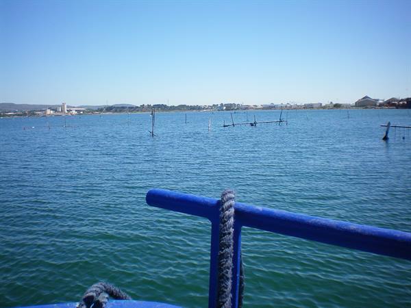 mussel farms setè