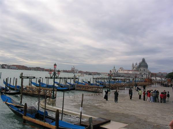 Black gondolas covered in blue tarps moored in Venice, Salute church behind, tourists walking