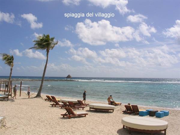 Sandy beach with round daybeds and loungers under palm trees, tourists by the shore