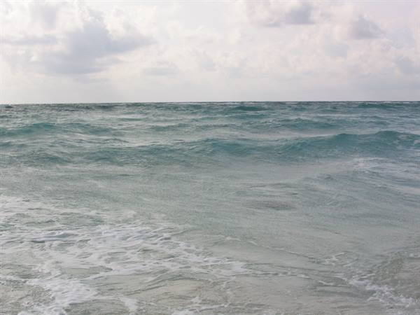 no swim today