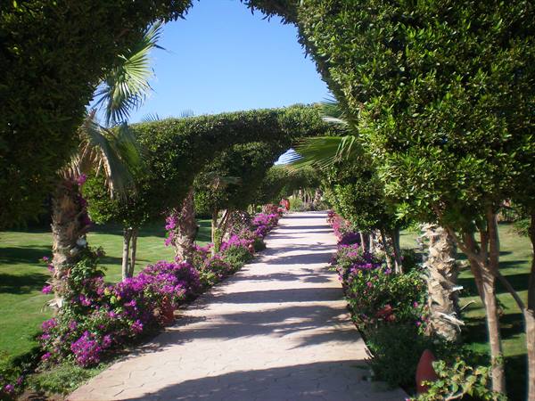 flowery avenue