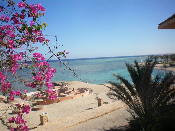view from the restaurant