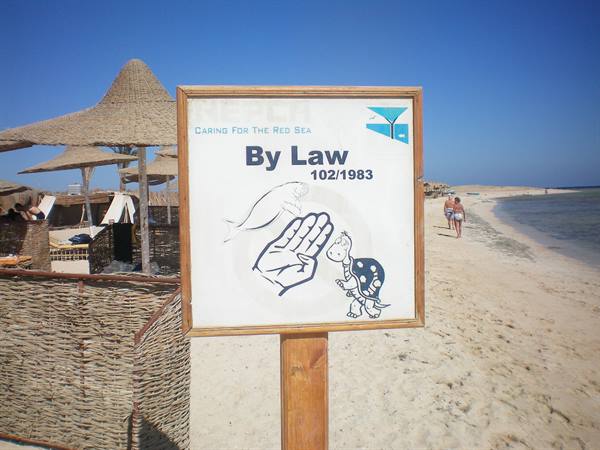 law for turtles