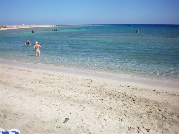 Abu dabab