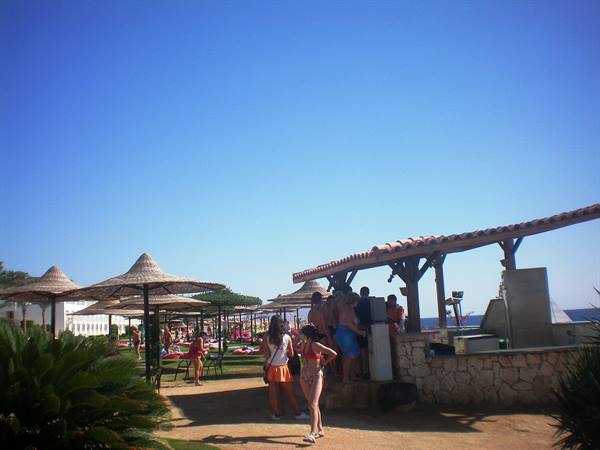 beach bar