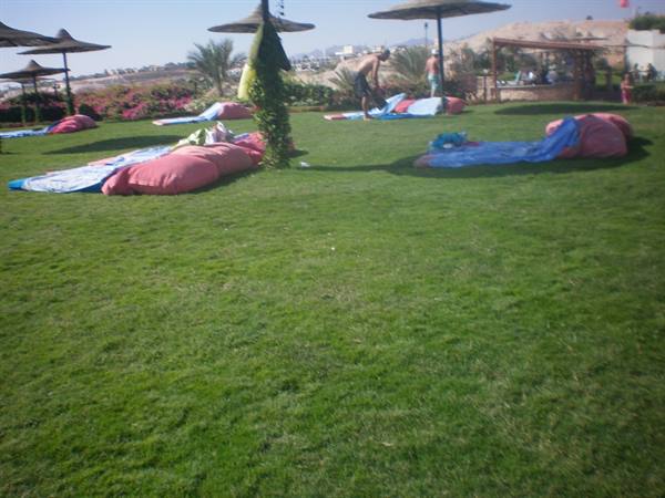 beds on the beach