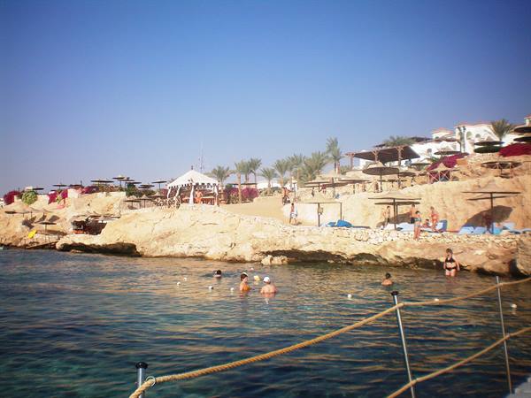 from the jetty