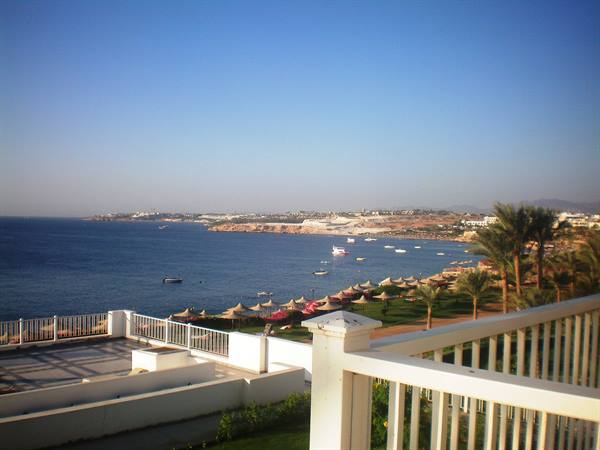 view from my room-