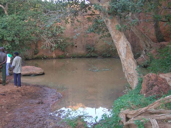Visitors by a muddy pond surrounded by trees and red rocks