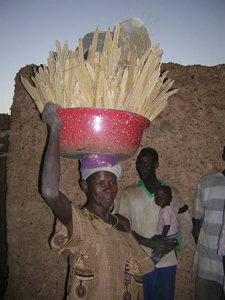 Woman carrying red basin of stalks on her head beside mud wall