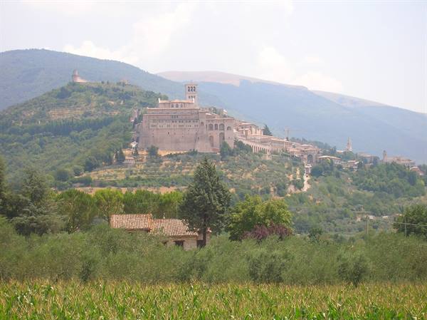 Assisi: the Basilica of San Francesco crowns the hill among olive groves