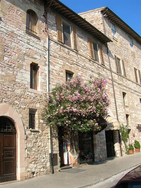 Blooming oleander in front of medieval stone building under blue sky