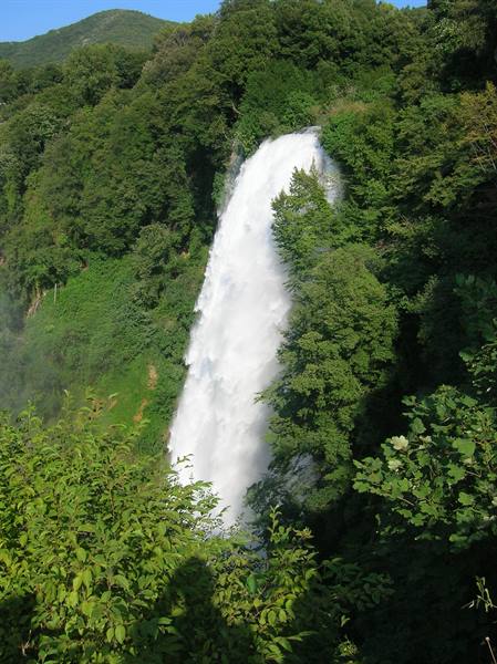 Marmore Falls plunges powerfully among lush green trees