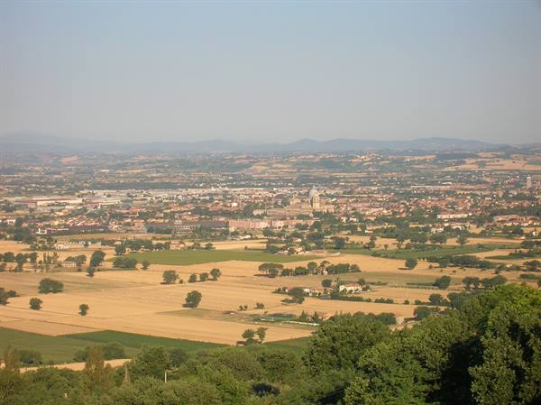 Cultivated fields and scattered trees before a domed city in morning light