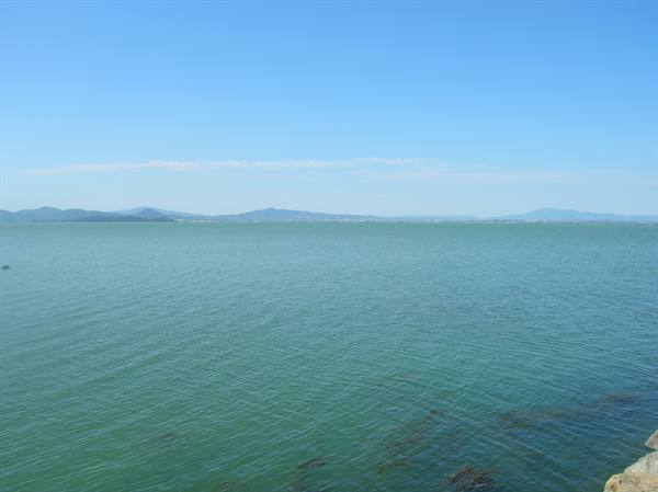 Emerald green water of Orbetello lagoon, distant hills, clear blue sky