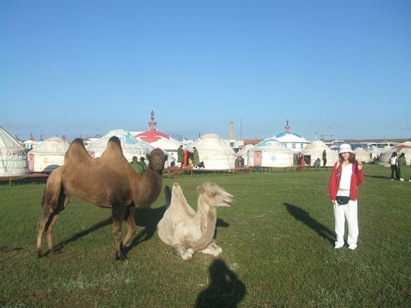 Tourist beside two camels on a meadow with white yurts and blue sky