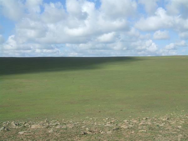 Green steppe with a cloud shadow on the grass, sky full of cumulus