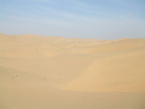 Golden sand dunes under a clear blue sky