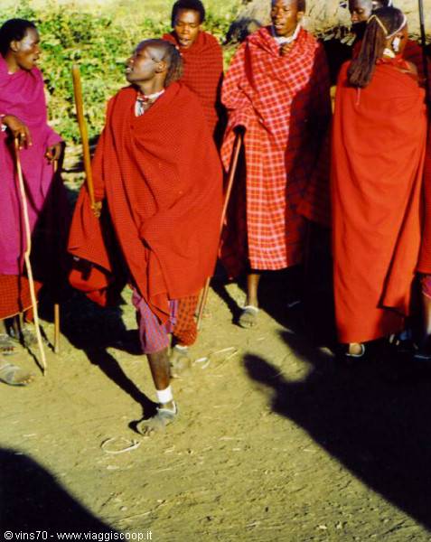 Maasai men in red shuka cloths with sticks, on sunlit dirt ground