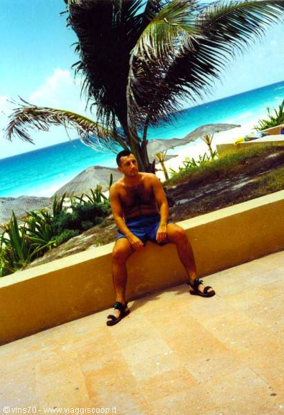 Man sitting on yellow wall in front of palm tree and turquoise sea