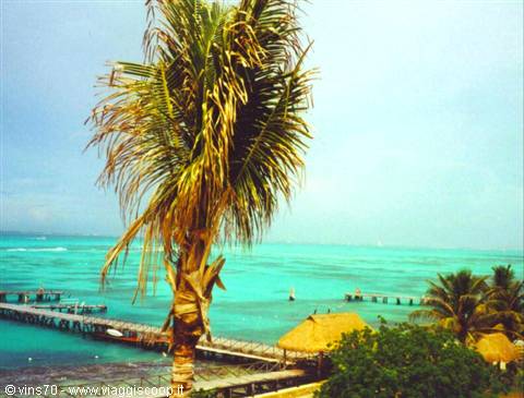 Palm tree over turquoise Caribbean sea, wooden pier and thatched palapa huts