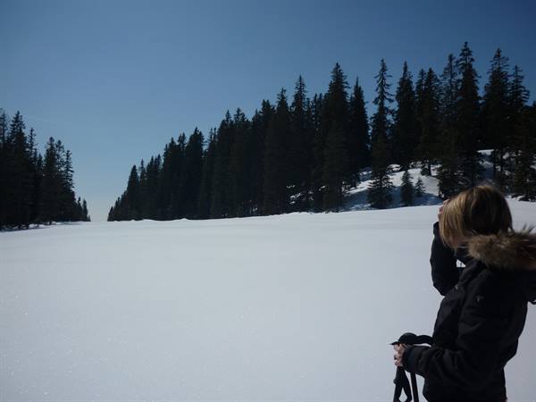 Woman in black winter jacket on snow facing fir trees