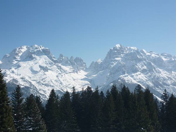 Snow-covered Dolomite peaks above dark fir forest under clear blue sky