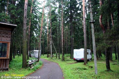 Motorhomes parked among tall pines, beside a wooden cabin, forest campground