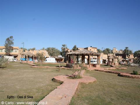 Brick and straw pavilions among palm trees at Siwa Oasis