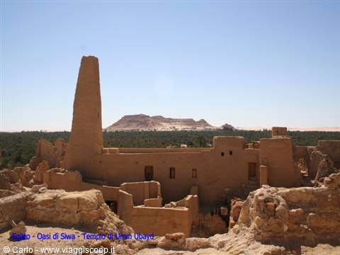 Mud-brick ruins of Umm Ubayd temple, Siwa Oasis, under bright sun