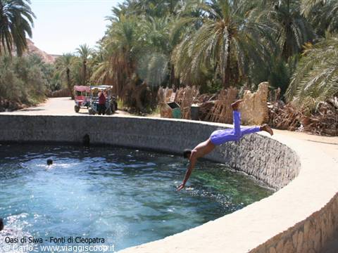 Boy diving into Cleopatra's spring pool, palm trees and a cart at Siwa