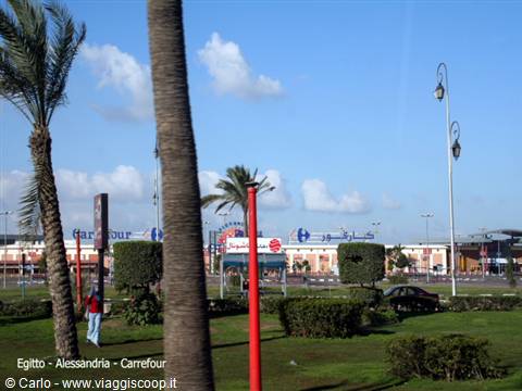 Carrefour in Alexandria, Egypt, palm trees and lawn under blue sky