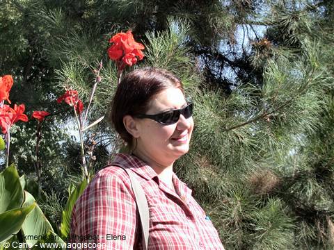 Woman in dark sunglasses and plaid shirt among pines and red flowers