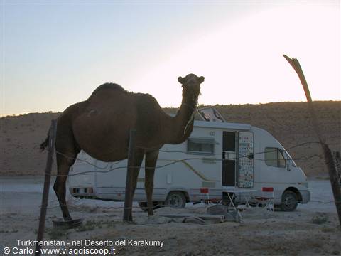 A camel tethered beside a camper van in the Karakum Desert, Turkmenistan