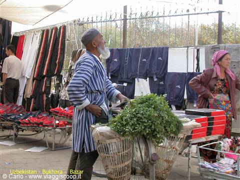 Old bearded man in striped robe selling herbs at Bukhara bazaar