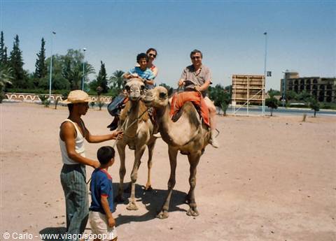 Tourists riding camels on sand, guide in straw hat and boy nearby