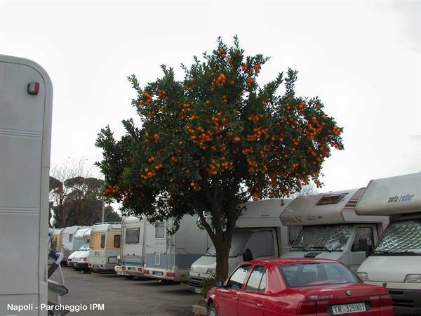 Naples - IPM car park
