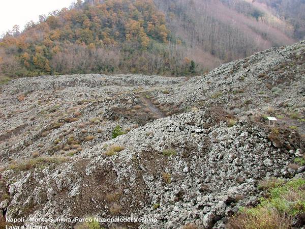 Naples - Monte Summa - Lava and Lichens