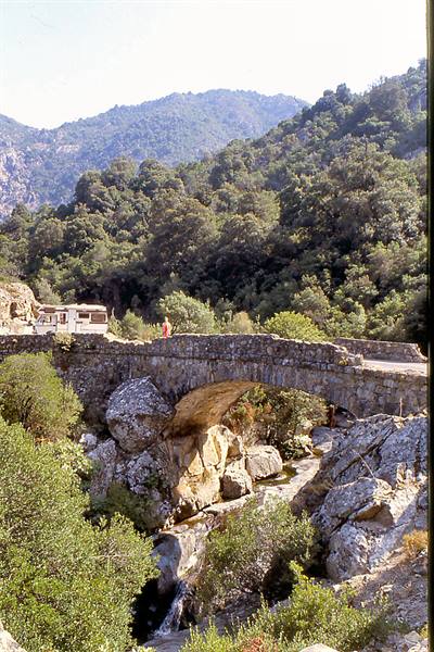Single-arch stone bridge over rocky stream, green woods and houses behind