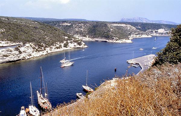 Sailboats moored in the Port-Miou calanque among white limestone and scrubland