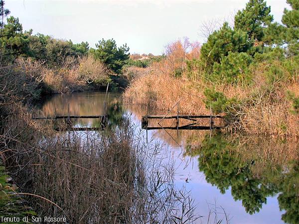 San Rossore Estate