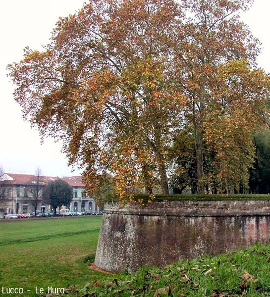 Lucca - the Walls