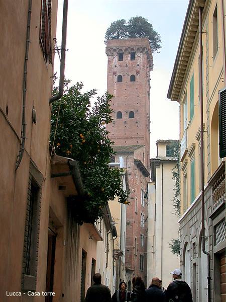 Lucca - Tower house